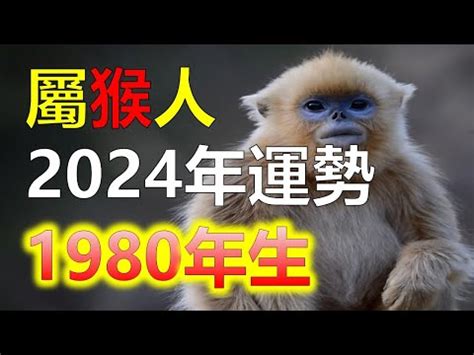 1980屬猴幸運色2023|属猴1980年出生的人2023年全年运程运势